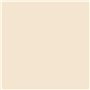 RIPOLIN Peinture façade ton Meuliere  10L