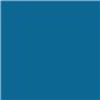 RIPOLIN PROTECTION EXTREME BOIS BLEU OCEAN RAL 5 Satin 2,5 L
