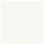 RIPOLIN PROTECTION EXTREME FACADE BLANC Mat 10 L