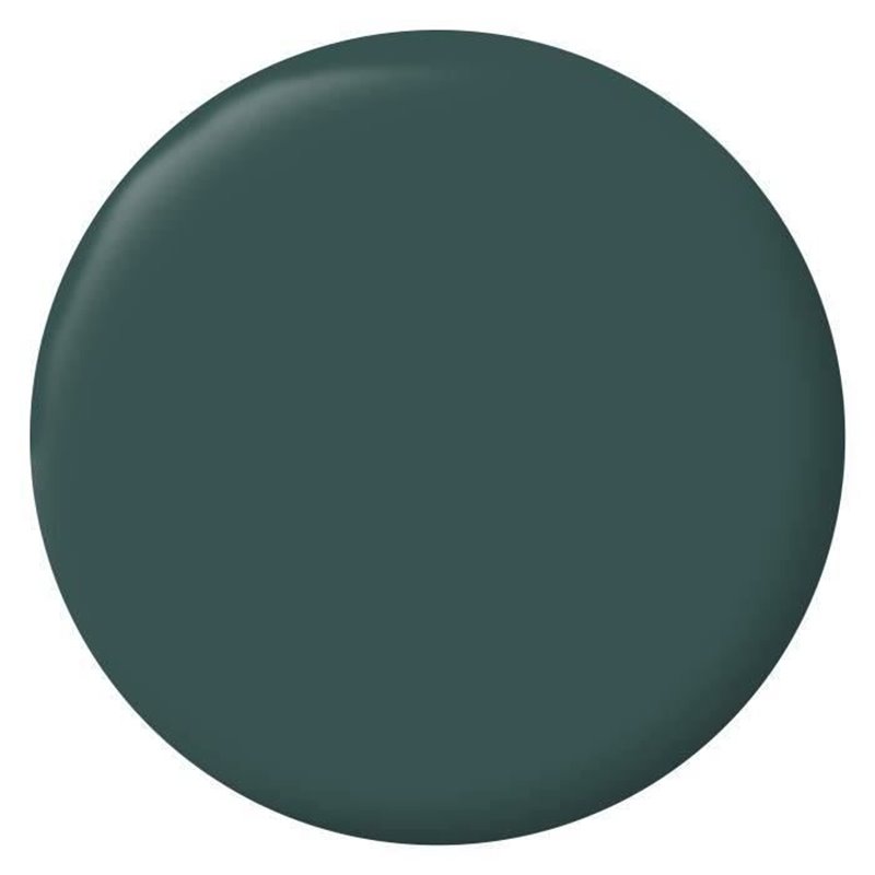 Image secondaire de RIPOLIN Peinture Couleur Velours pour Murs, Boiseries Radiateurs - Vert Armerie