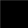 RIPOLIN Peinture Couleur Velours pour Murs, Boiseries Radiateurs - Noir