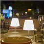 Set de 2 lampes de table sans fil - LUMISKY - TWINS - Olive - H16 cm - LED