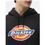 Sweat à capuche homme Dickies