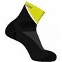 Chaussettes de Sport Salomon Pulse Ankle Noir