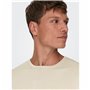 Sweat sans capuche homme Only & Sons wyler Life Reg 14Crew