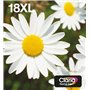 Epson Daisy Multipack EasyMail "Pâquerette" 18XL - Encre Claria Home N,C,M,J