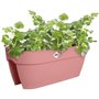 Pot de fleurs - ELHO - Vibia Campana Flower Bridge 60 - Rose - L 26 x B 59 x H 22 cm - Balcon/Extérieur - 100% recyclé