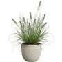 Pot de fleurs - ELHO - Sereh Rond 30 - Beige - L 30 x B 29.5 x H 25 cm - 100% recyclé