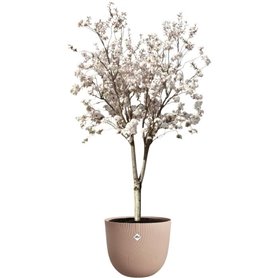 Pot de fleurs - ELHO - Sereh Rond 47 - Marron - Ø 47 x H 40 cm - 100% recyclé