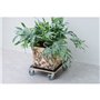 Nature Chariot a plantes carré 38x38 cm noir bois 446407