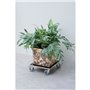 Nature Chariot a plantes carré 38x38 cm noir bois 446407