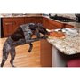 PetSafe - Mini barriere pour animaux domestiques Pawz Away, Systeme de contournement adapté aux Chiens et Chats