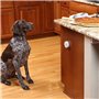 PetSafe - Mini barriere pour animaux domestiques Pawz Away, Systeme de contournement adapté aux Chiens et Chats