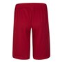 Short de Sport pour Enfants Jordan JDB JORDAN VERT MESH SHORT 957176 R78 Rouge