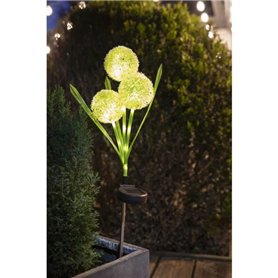 Décoration lumineuse - GALIX - G4510 -  Energie solaire : Fleurs