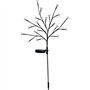 Arbuste a fleurs solaire - GALIX - G4505 - H72