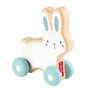 LAPIN A POUSSER EN BOIS