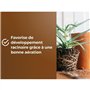 Terreau rempotage universel - OR BRUN - OBRTREM6U - 6L - Améliore la croissance