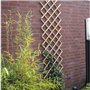 Treillis extensible - NATURE - En bambou - 45 x 180 cm