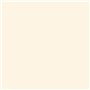 RIPOLIN PEINTURE ANTI-HUMIDITE 2,5L