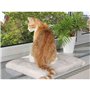Lit pour animal domestique Trixie Gris clair 51 × 36 cm
