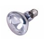 Ampoule infrarouge Trixie