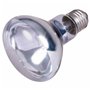 Ampoule infrarouge Trixie