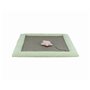 Grattoir pour Chats Trixie Gris Menthe 47 x 47 cm