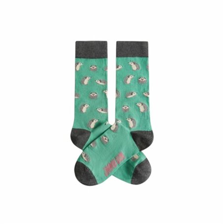 Chaussettes Jimmy Lion Hedgehog Turquoise 36-40
