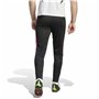 Jogging d'Entraînement de Football pour Adultes Adidas Tiro23 Cb Tr Homme