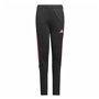 Pantalon de Sport pour Enfant Adidas Tiro23 Cbtr