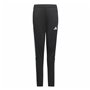 Pantalon de Sport pour Enfant Adidas Tiro23 Cbtr