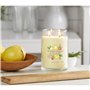 Bougie Parfumée Yankee Candle Iced Berry Lemonade 567 g