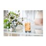 Bougie Parfumée Yankee Candle Mango Ice Cream 567 g