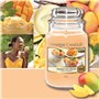 Bougie Parfumée Yankee Candle Mango Ice Cream 623 g