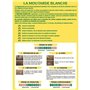 Engrais Verts - BHS - Moutarde Blanche 500g | 100 m² | Améliore et désinfecte les sols pour une meilleure fertilité.