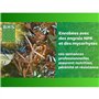 Gazon Anglais - BHS - 10kg pour Jardins Haut de Gamme