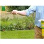 Gazon - BHS - Gazon Bord de Mer 1kg | 40m² | Résistant vent, sécheresse, salinité | Beau gazon d'été, esthétique et robuste.