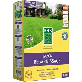 Gazon - BHS -  Gazon Regarnissage 3kg