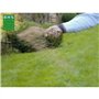 Gazon - BHS -  Gazon Regarnissage 3kg