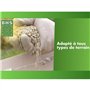 Gazon - BHS -  Gazon Regarnissage 3kg