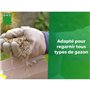 Gazon Regarnissage Terrain Sec - BHS - 1kg | 40 m² | Résistant et durable, avec excellente pérennité et tolérance aux piétinemen