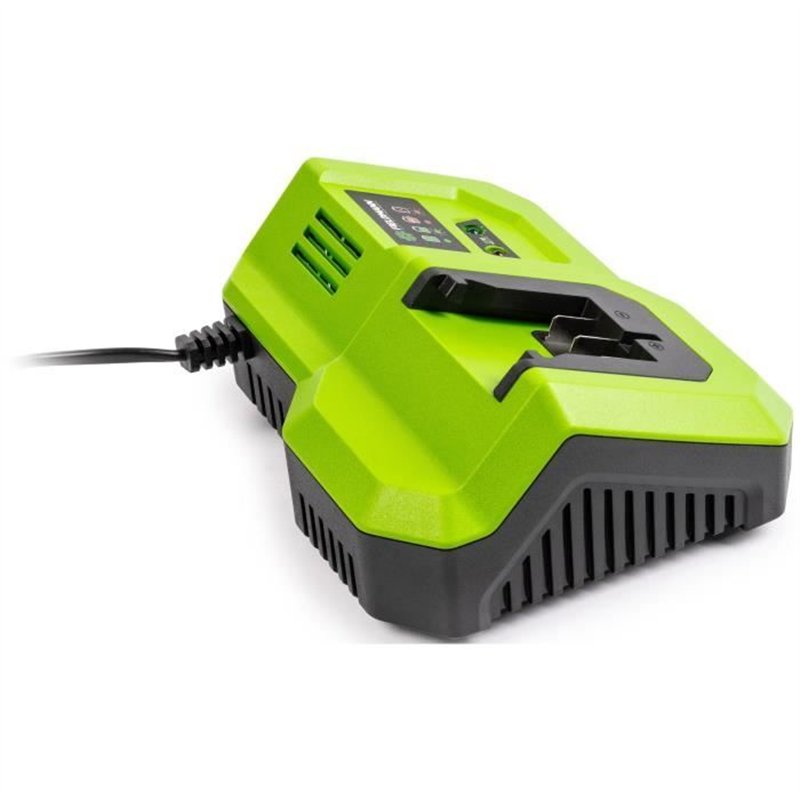 Image secondaire de Chargeur rapide - FIELDMANN - Pour batterie 20V - Charge 2Ah en 30 min - Compatible 2Ah, 4Ah, 8Ah