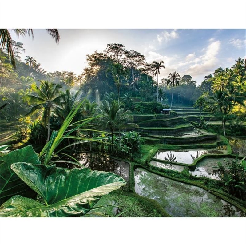 Puzzle 2000 pièces Au cœur de Bali, Adultes et enfants de plus de 14 ans, Collection Évasion, 12001518, Nathan