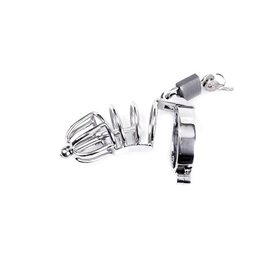 Cage à Pénis Kiotos Argenté