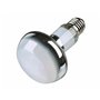 Ampoule infrarouge Trixie
