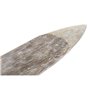 Centre de Table DKD Home Decor 74 x 12 x 4,5 cm Finition vieillie Marron Poisson méditerranéen (2 Unités)