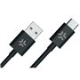 Câble USB Celly USBUSBC2MSP