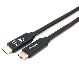 Câble USB-C vers USB-C Equip 12834707101 Noir 2 m