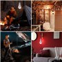 Lampe solaire New Garden 20 W